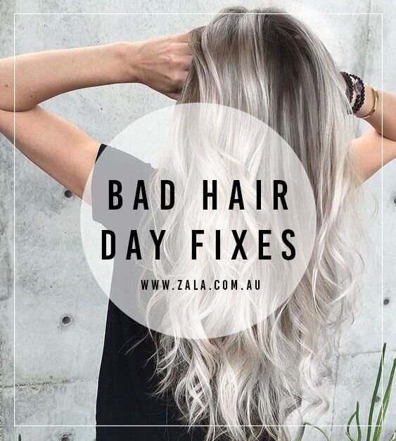 ZALA - BAD HAIR DAY FIXES
