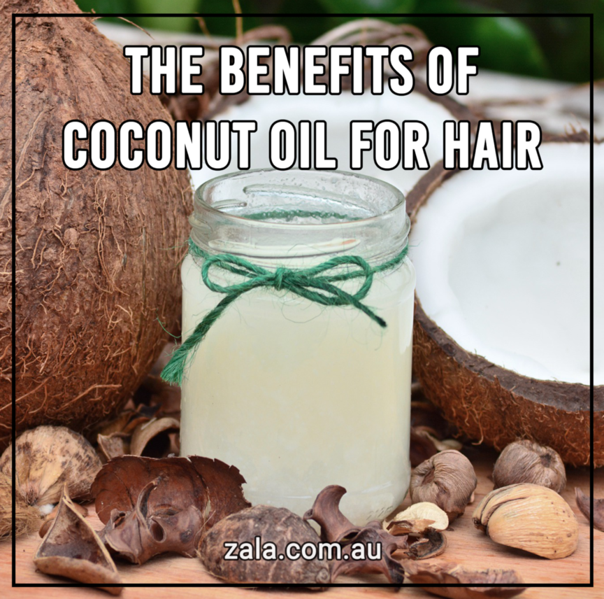 zala blog benefits coconut oil for hair