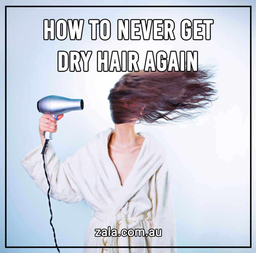 zala how to never get dry hair again