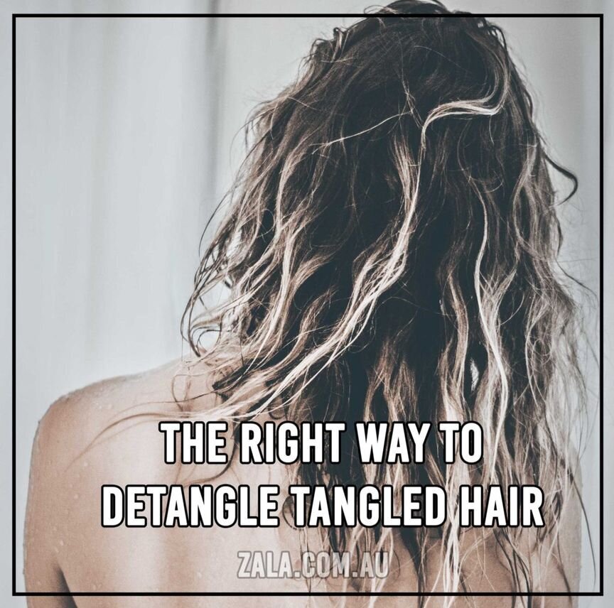 zala-detangle-tangled-hair