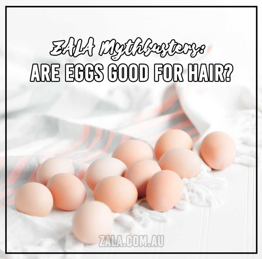ZALA - MYTHBUSTERS: ARE EGGS GOOD FOR HAIR?