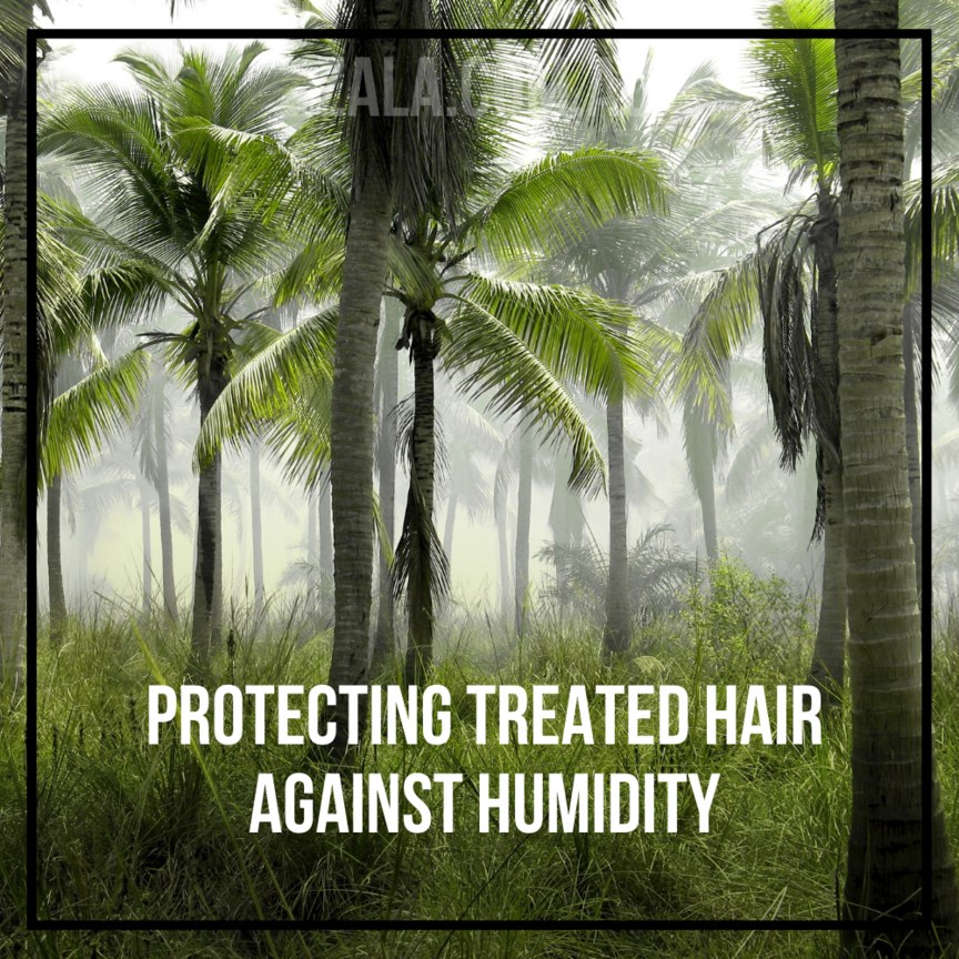 Protecting Treated Hair Against Humidity