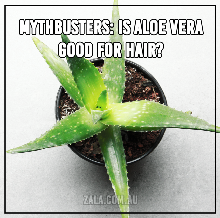 Aloe Vera Good For Hair