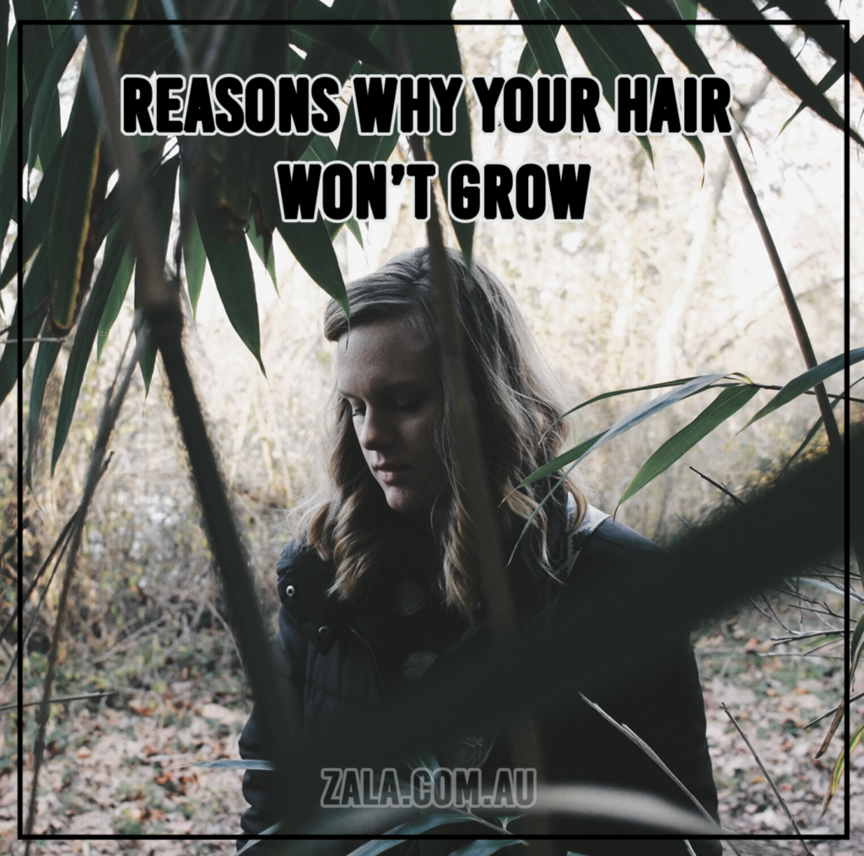 zala-reasons-why-hair-won't-grow