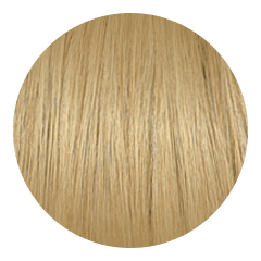 Honey Blonde #18 Hair Extensions