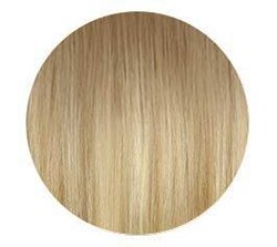 California Blonde Hair Extensions Color Chart